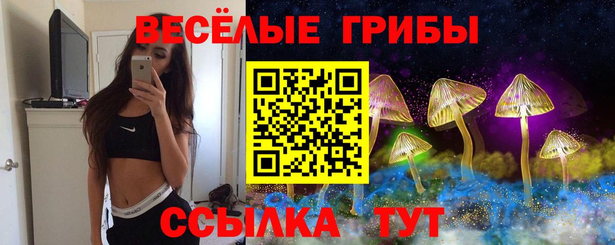 Кировск  Псилоцибиновые грибы мухоморы  Вход с VPN 